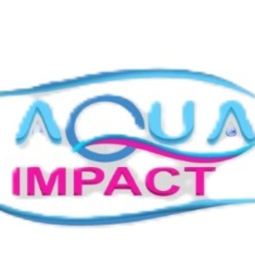 Aqua Impact Logo